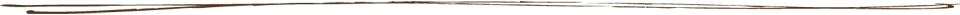 border line