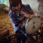 Lamb Weighing